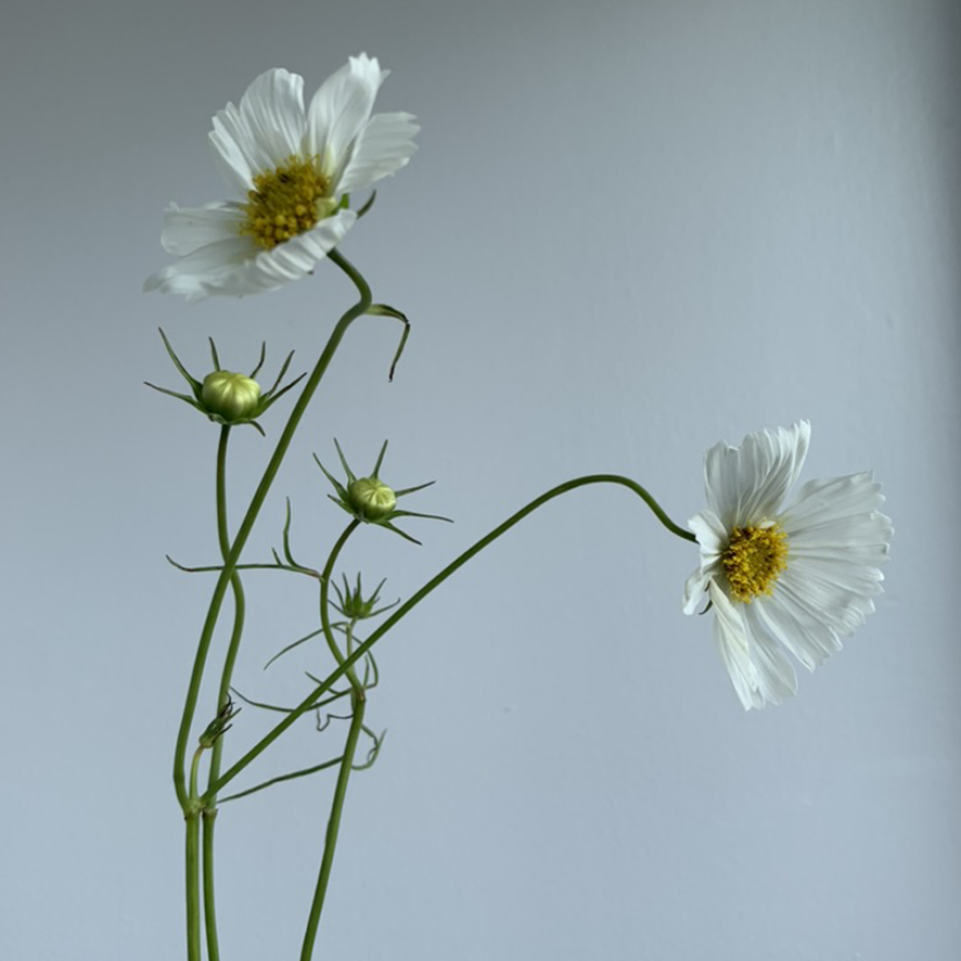 wedding flowers